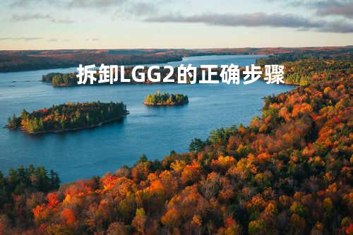 拆卸 LG G2 的正确步骤